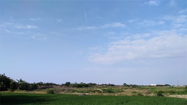 学做一道菜(精选4篇)