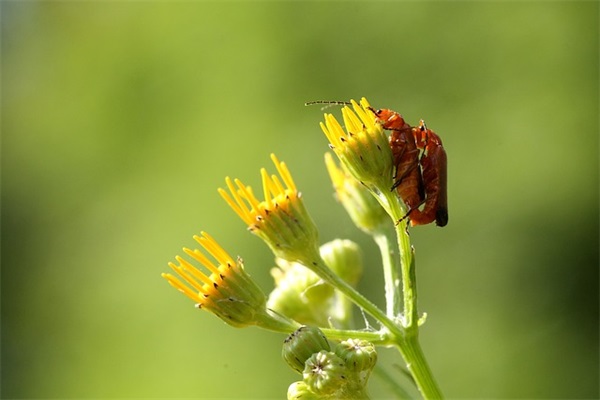 网络励志潮语搞笑 搞笑励志早安语(精选59句)