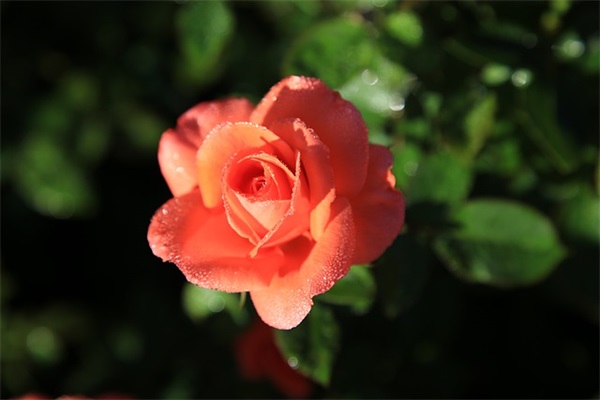 车间主管的生产职责(精选5篇)