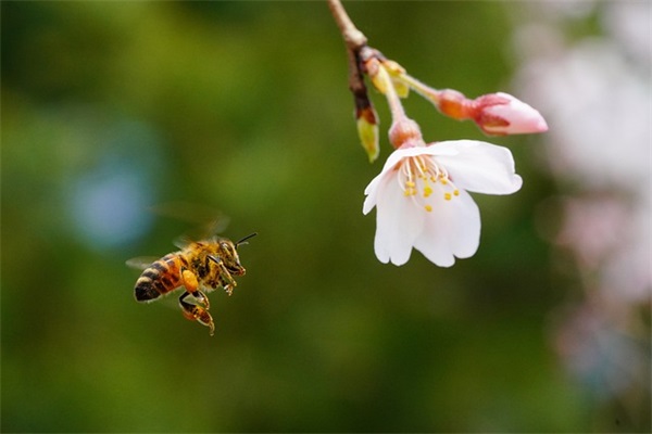 2024抖音美食文案(精选67句)