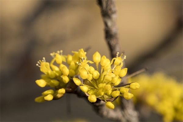 各种公司内部管理制度(精选3篇)