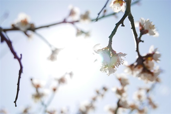 中午好高情商问候(精选32句)