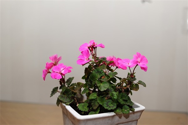 吸引人的健身朋友圈文案模板(精选63句)