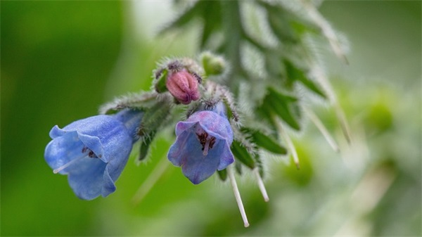 厨房口号大全霸气十足(精选82句)
