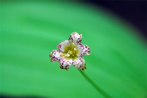 激励人积极向上的励志人生格言金句(精选73句)