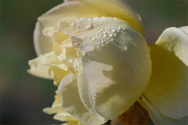 发给女朋友最毒的誓言 如果辜负了女朋友最狠的誓言