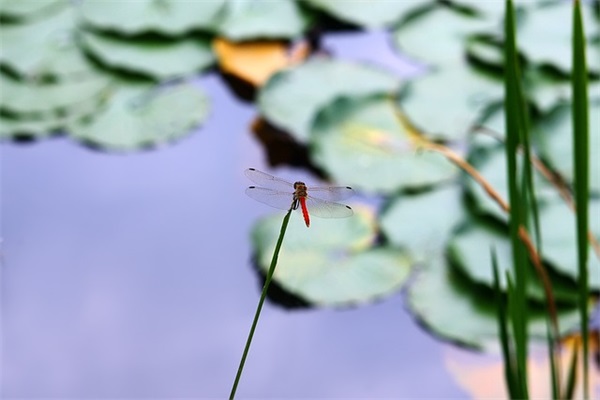 企业年会主题口号(精选3篇)