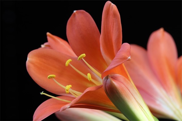 行政管理师职责内容(精选6篇)