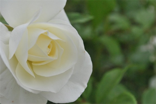 玩也能玩出名堂小练笔(精选10篇)