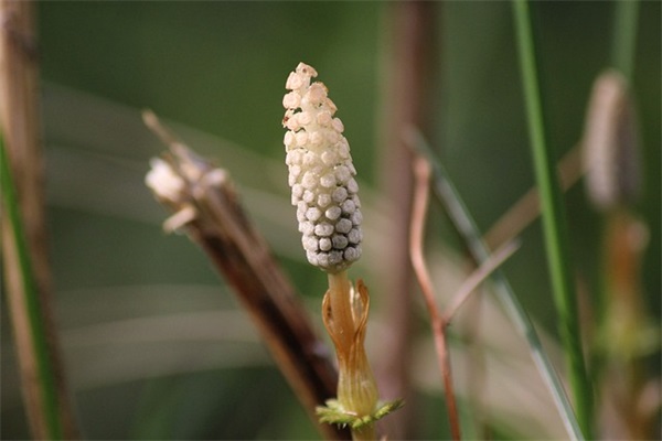 回顾2024展望2024(精选4篇)