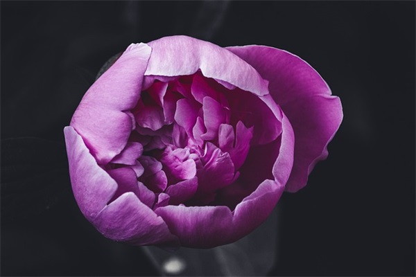 警方防范电信诈骗宣传语(精选2篇)