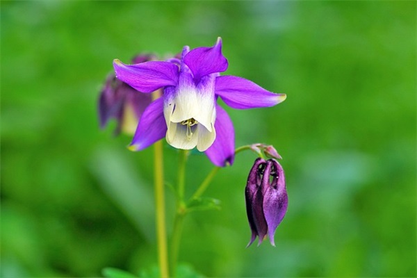 鼓励孩子晨读经典语句 孩子早起晨读激励语