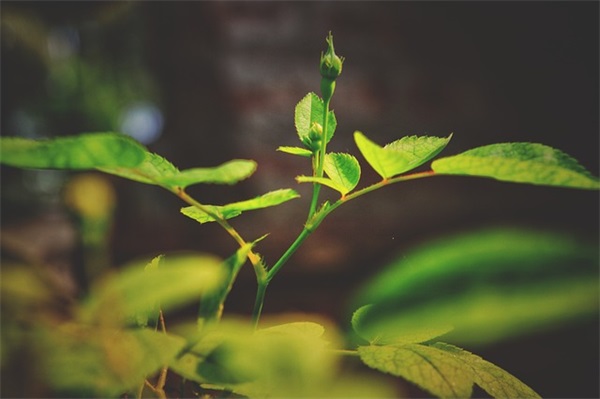 《宇宙的另一边》仿写(精选3篇)