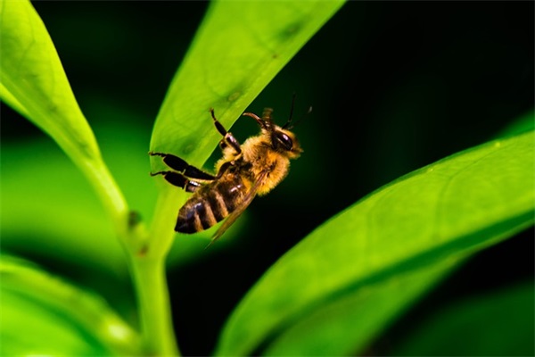 让老公感动哭的话简短 心疼老公太辛苦暖心话