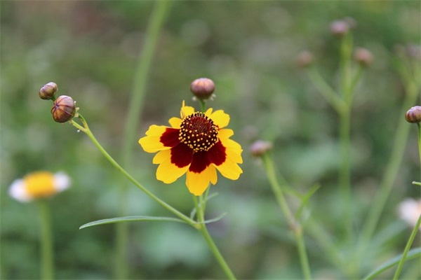 生产安全员岗位职责(精选3篇)