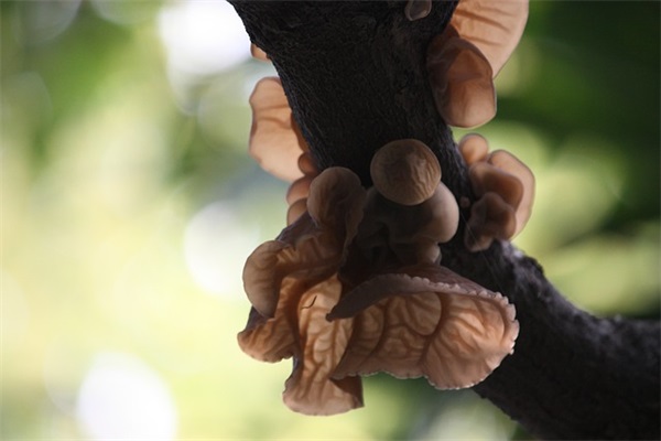 背井离乡孤独在外拼搏的伤感句(精选25句)