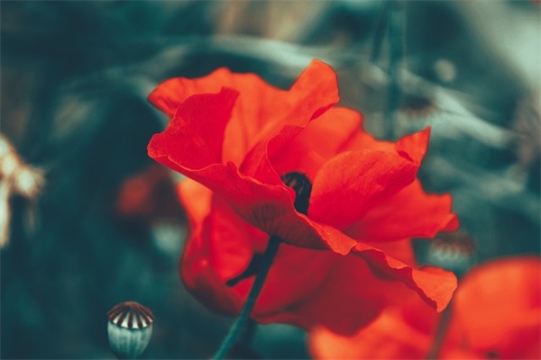 原来这么简单(精选2篇)