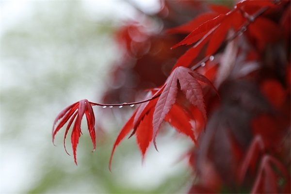 物业管理主管岗位具体职责内容(精选5篇)