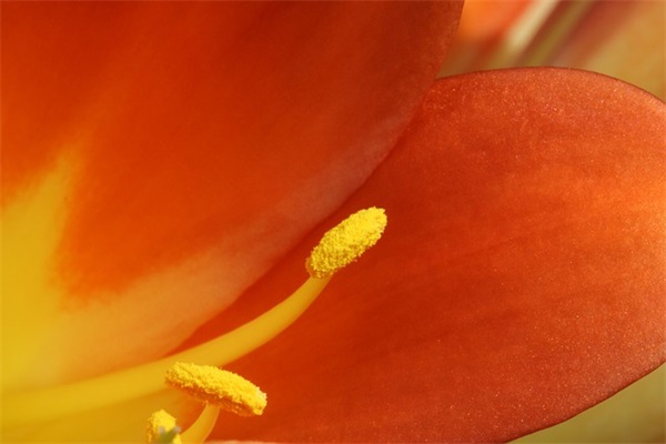 感谢爸妈的话简短 感谢爸妈的话简短10字