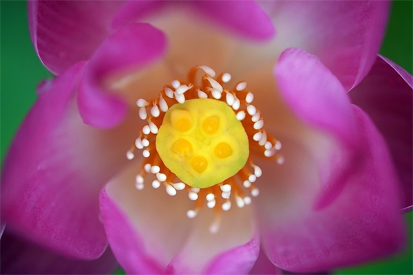 适合加班发朋友圈幽默 晚上加班幽默的发朋友圈