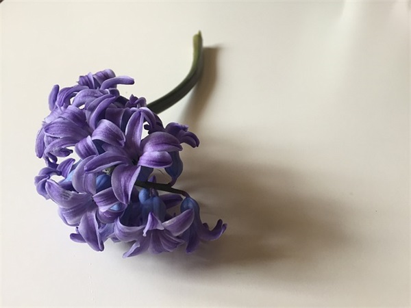 抖音个人简介霸气 抖音个人简介霸气最吸引粉丝