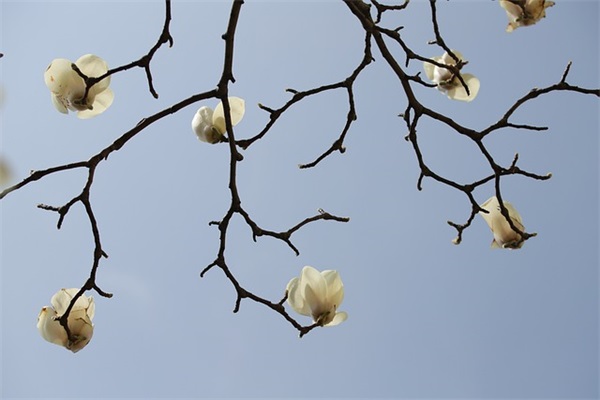 老顽童(精选3篇)