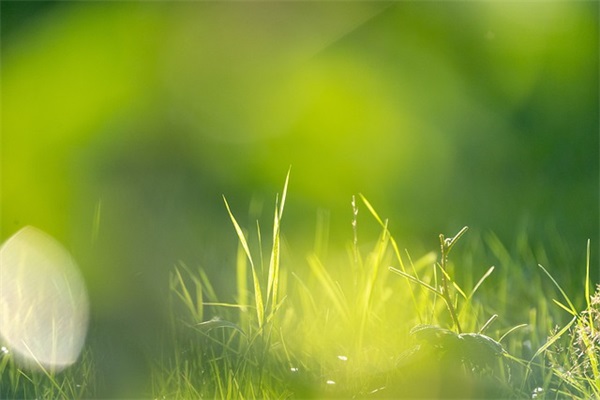 世界无车日宣传语(精选2篇)