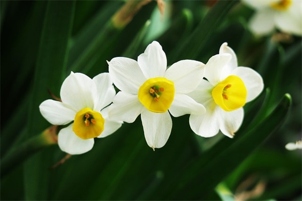 生产总监都有哪些职责内容(精选6篇)