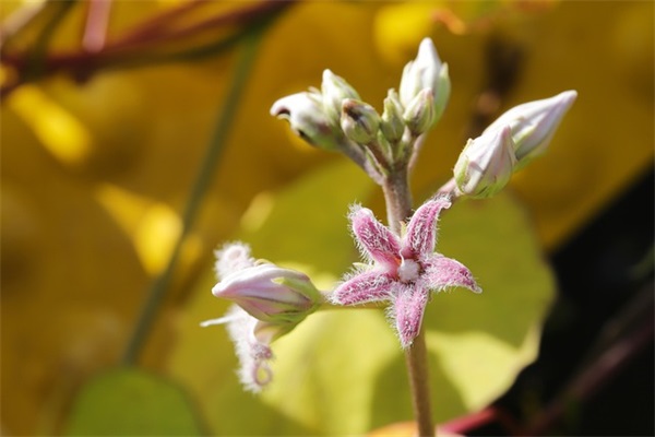 霸气超拽的个性签名推荐 超拽霸气十足的个性签名