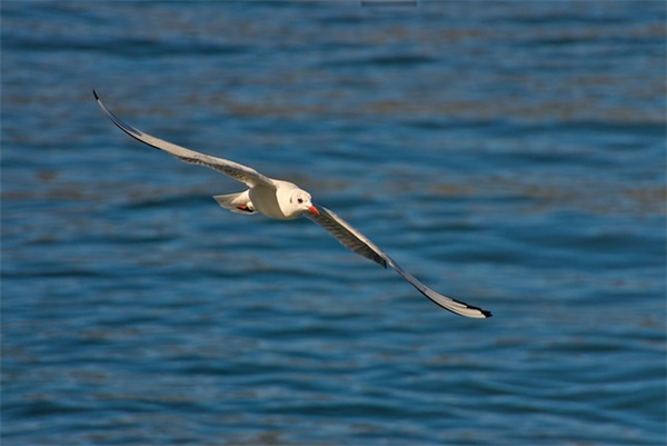 抖音最火吸粉签名简短又有个性汇总(精选61句)
