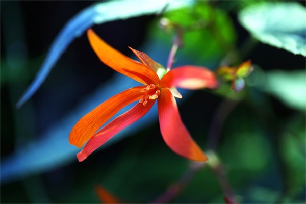 幼儿园口号霸气押韵 幼儿园口号霸气押韵8班