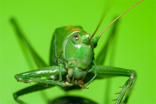 停课不停学(精选4篇)