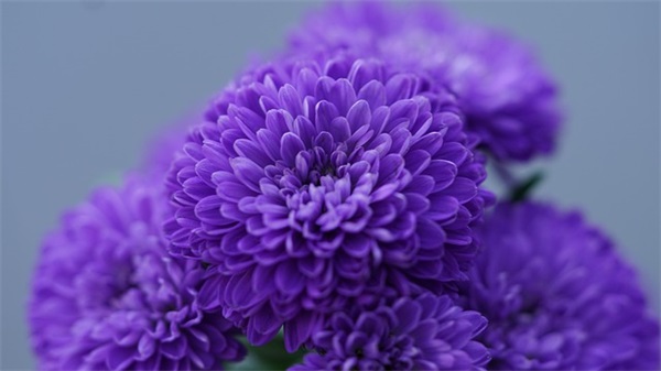 王者荣耀女英雄经典台词 王者荣耀经典台词人生哲理