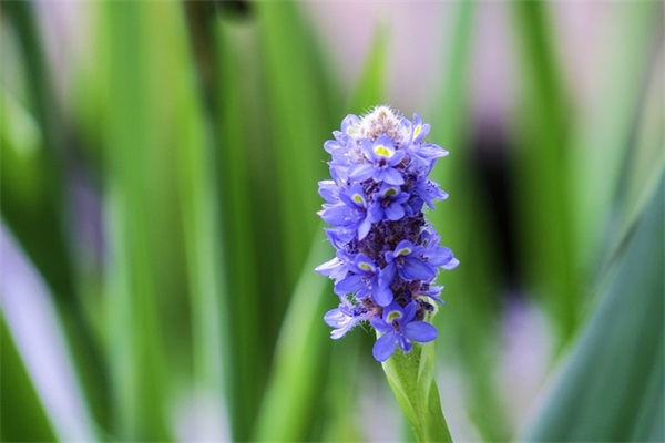 标准化工程师岗位职责(精选6篇)