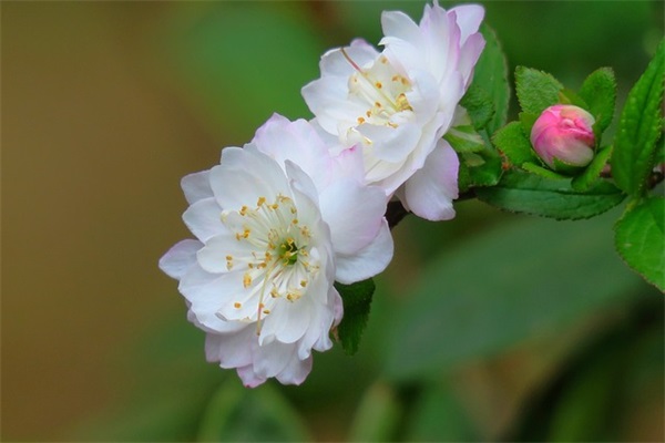 爱岗敬业的语句 希望员工爱岗敬业的语句(精选63句)