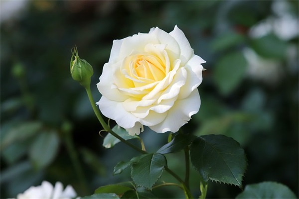 家长签字(精选3篇)