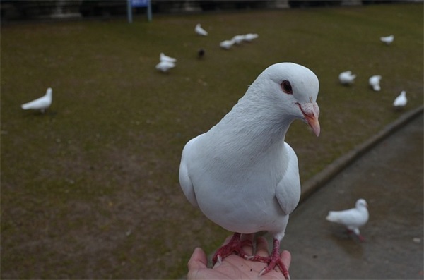 适合友谊的朋友圈文案(精选40句)