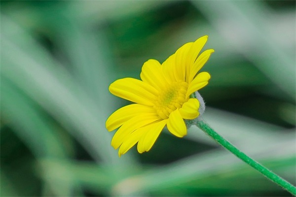 班级篮球口号霸气押韵(精选80句)