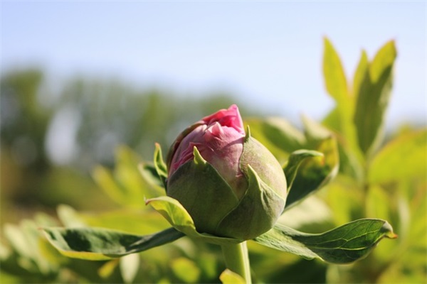 抖音高考加油文案(精选70句)