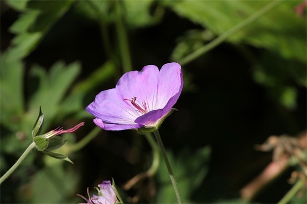 品质口号品质宣言 物业品质口号 品质宣言