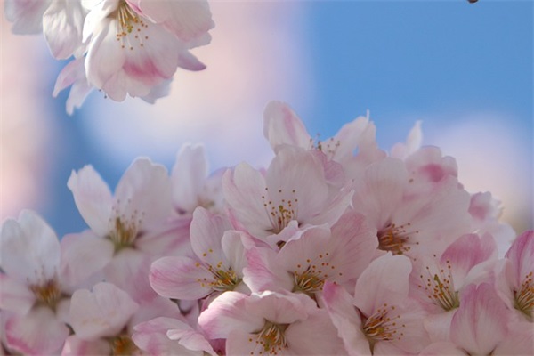 晒女朋友照片的 朋友圈发女朋友照片配什么文字