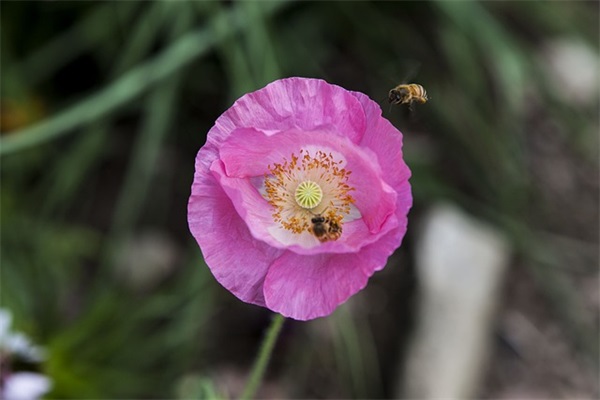 借钱不还的经典语句 催别人还钱的经典语句