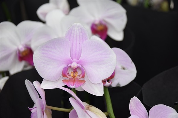 犯错给老婆的道歉信模板(精选3篇)