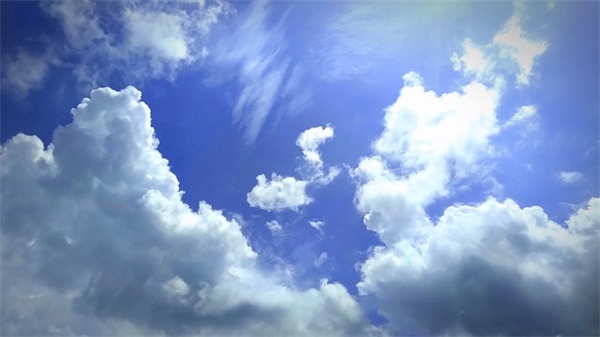 服务的格言 周大福服务格言(精选83句)