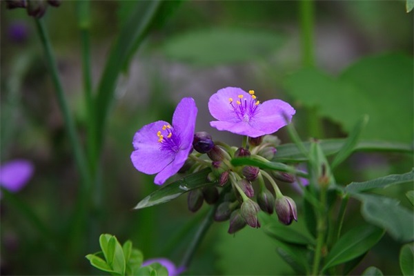 一句精辟的人生格言 一句佛语点透人生(精选51句)