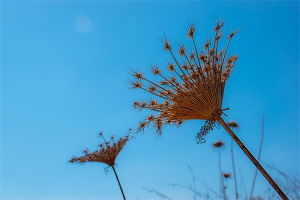 超市广告语大全语句 端午节超市广告语大全语句