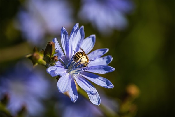 读《会飞的教室》有感200字