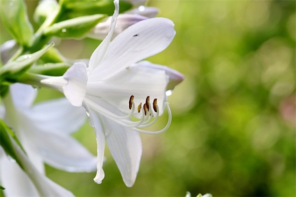 八月再见九月你好朋友圈(精选35句)