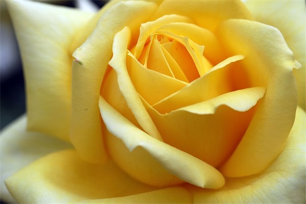 关于饭桌上高情商敬酒词 经典简短的祝酒词