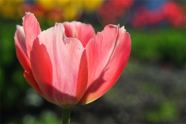 快手文案短句 快手文案短句情侣(精选80句)